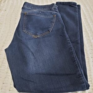 Democracy "AB" Solution Jeggings